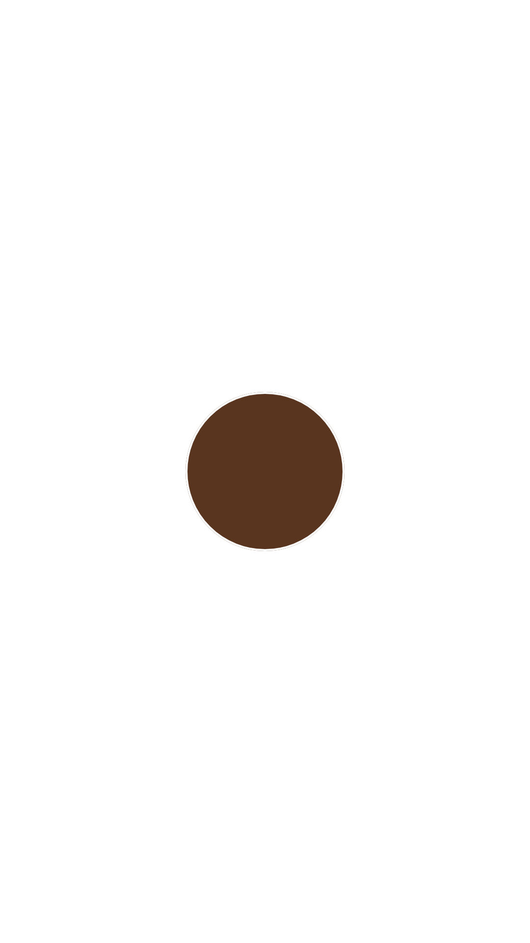 Nepaxal 34 Dunkelbronze